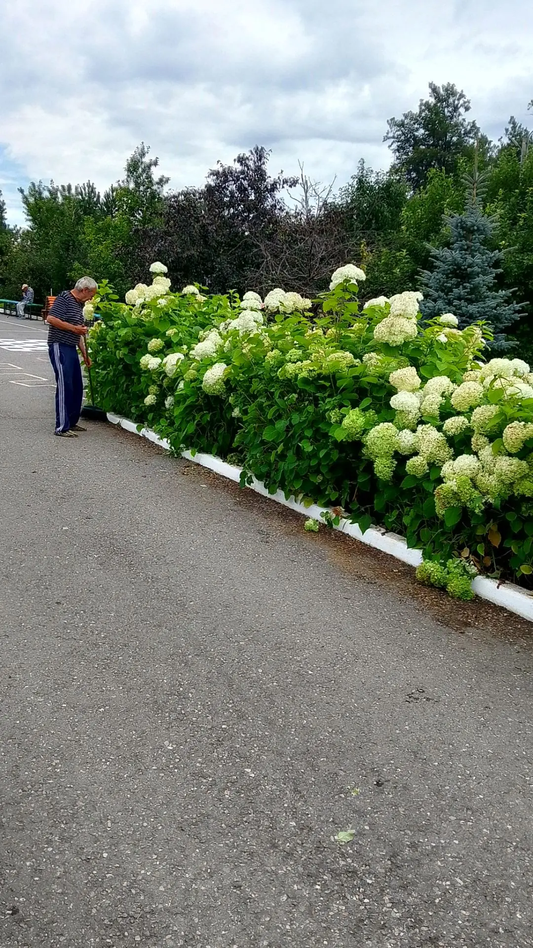 🌱Трудотерапия-помощь в уборке территории.