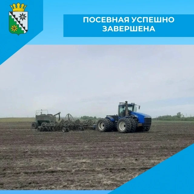 В Беловском муниципальном округе завершилась весенняя посевная кампания сезона 2026.
Вся посевная пл