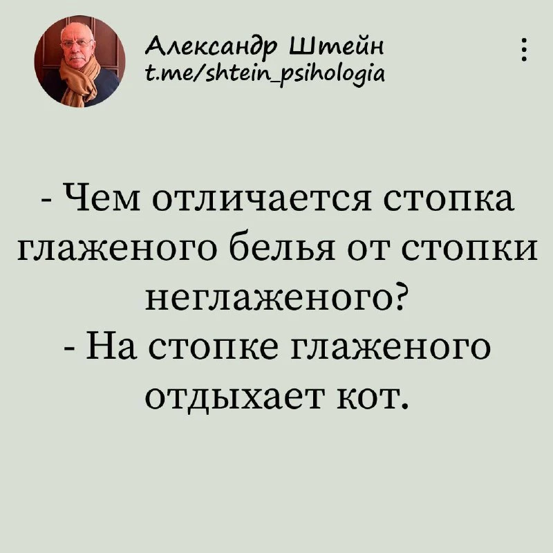 Александр Штейн