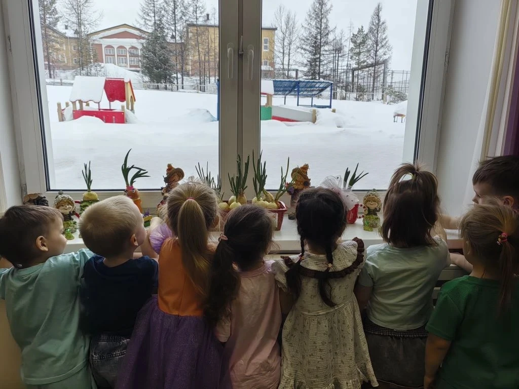 Уже традиционно, в каждой возрастной группе начинается оформление "огорода на подоконни...