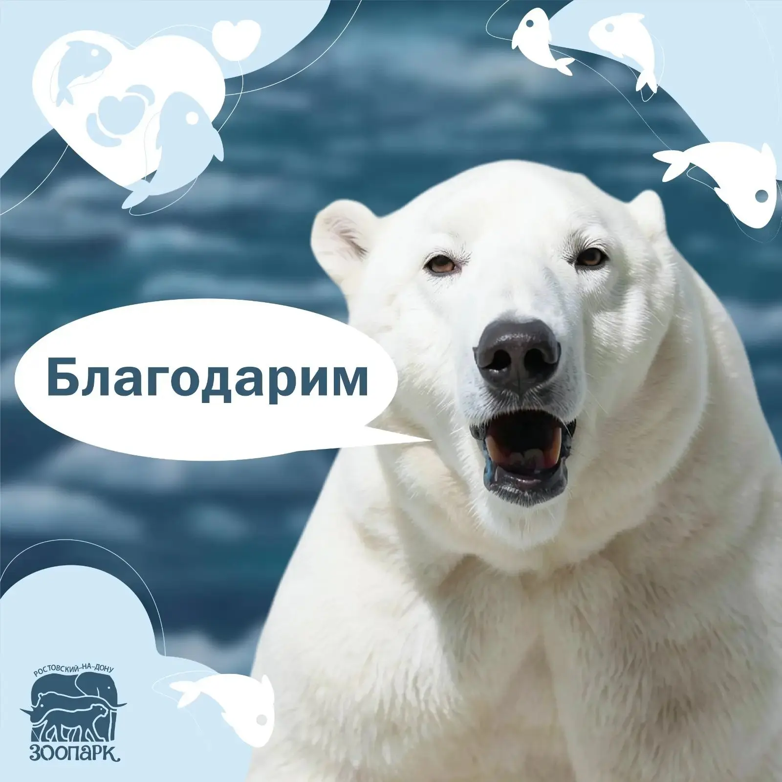 ❤️‍🔥 Сегодня мы говорим о добре 🕊️