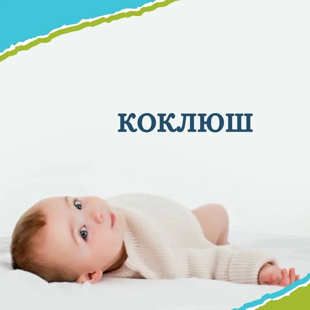 Коклюш – чрезвычайно контагиозная инфекция, распространенная повсеместно, приводящая к заражению до 