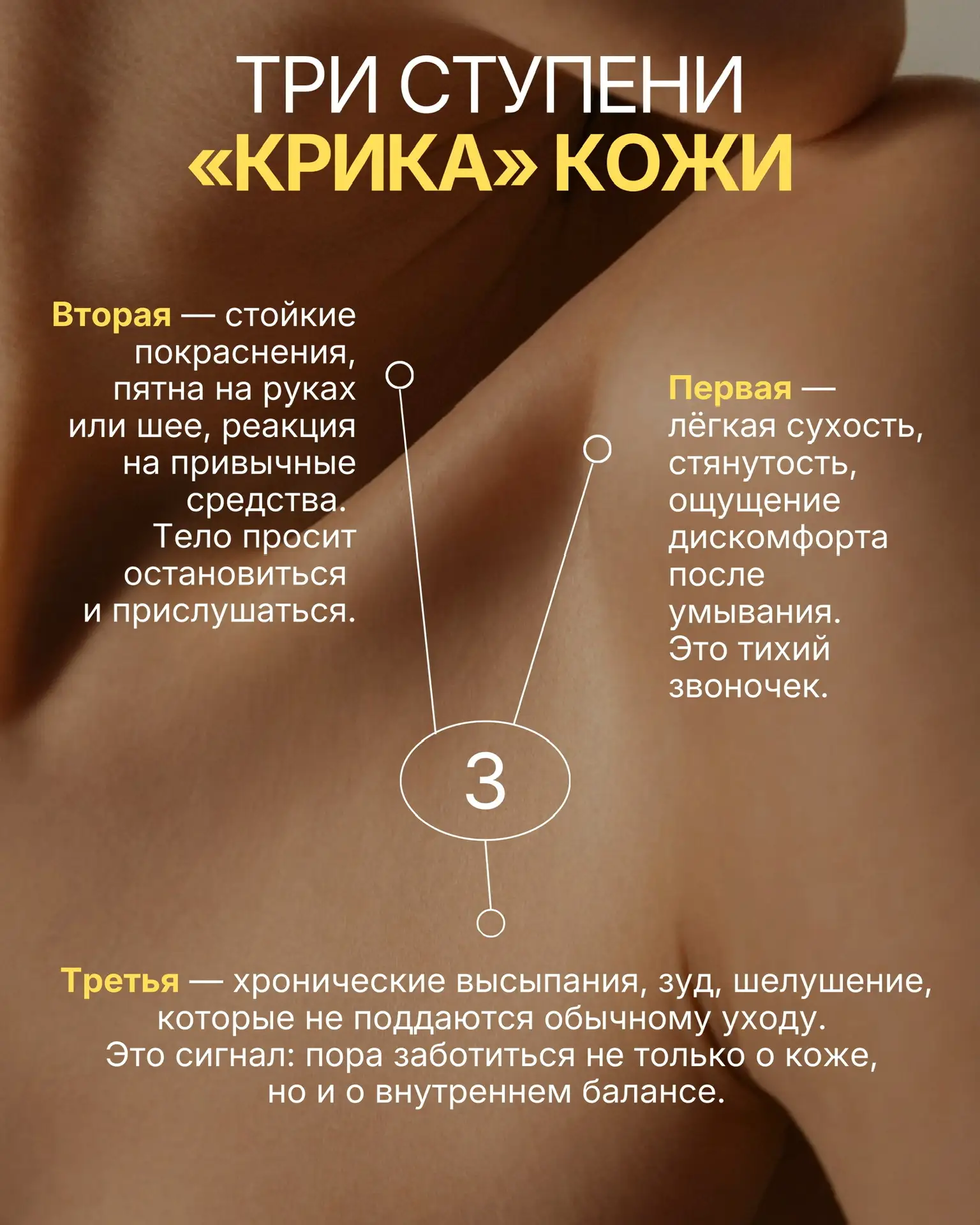 👉 Кожа помнит каждое переживание: психодерматология как путь к целостности.   Психодерматология — эт