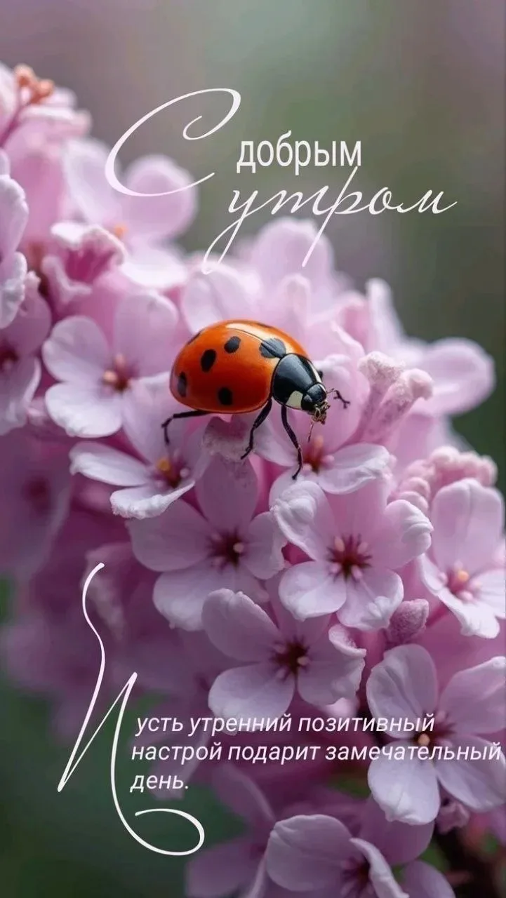 🥰 Оставляйте реакции, если понравилась открытка и делитесь с близкими ❤

Подпишитесь и Вы не сможет