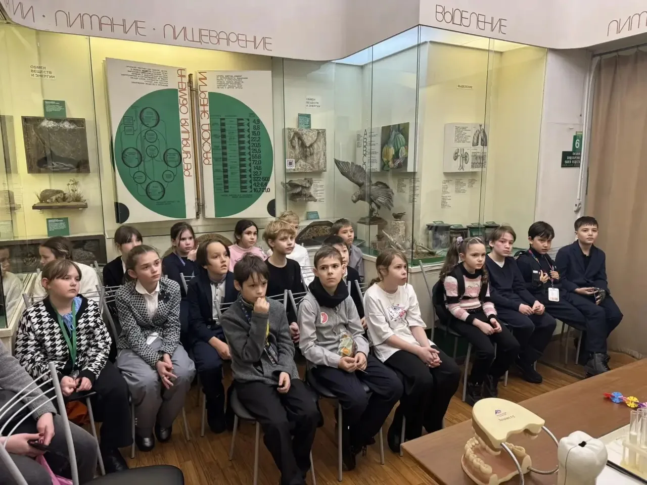 Юные исследователи из 3 "Б" класса отправились в увлекательное путешествие по Государственному биоло