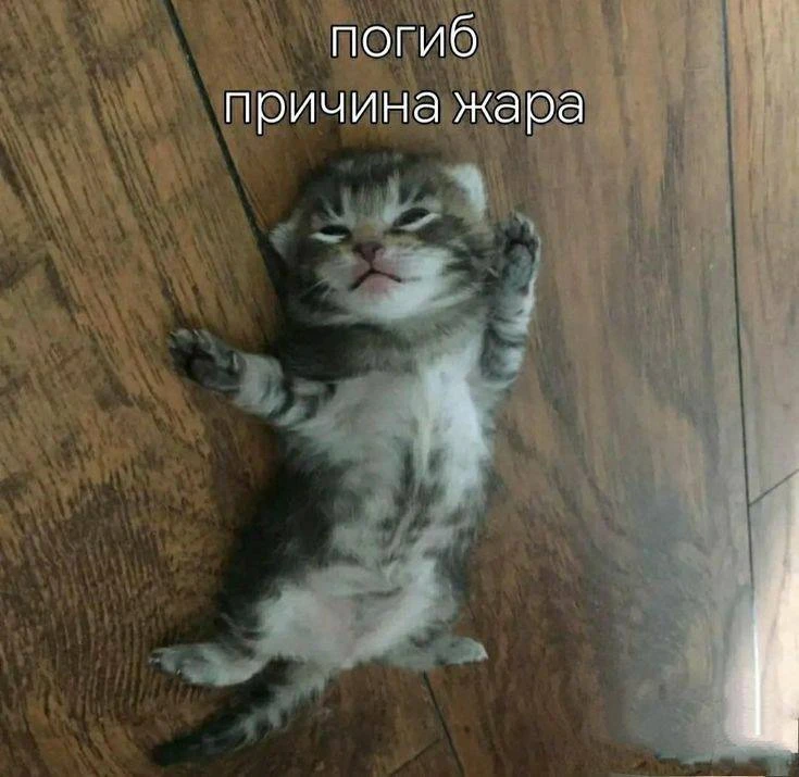 Москву ждёт жара до +31 °C
