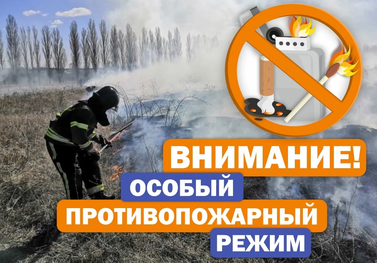 ‼️Уважаемые жители и гости Медведевского района и Килемарского округа!