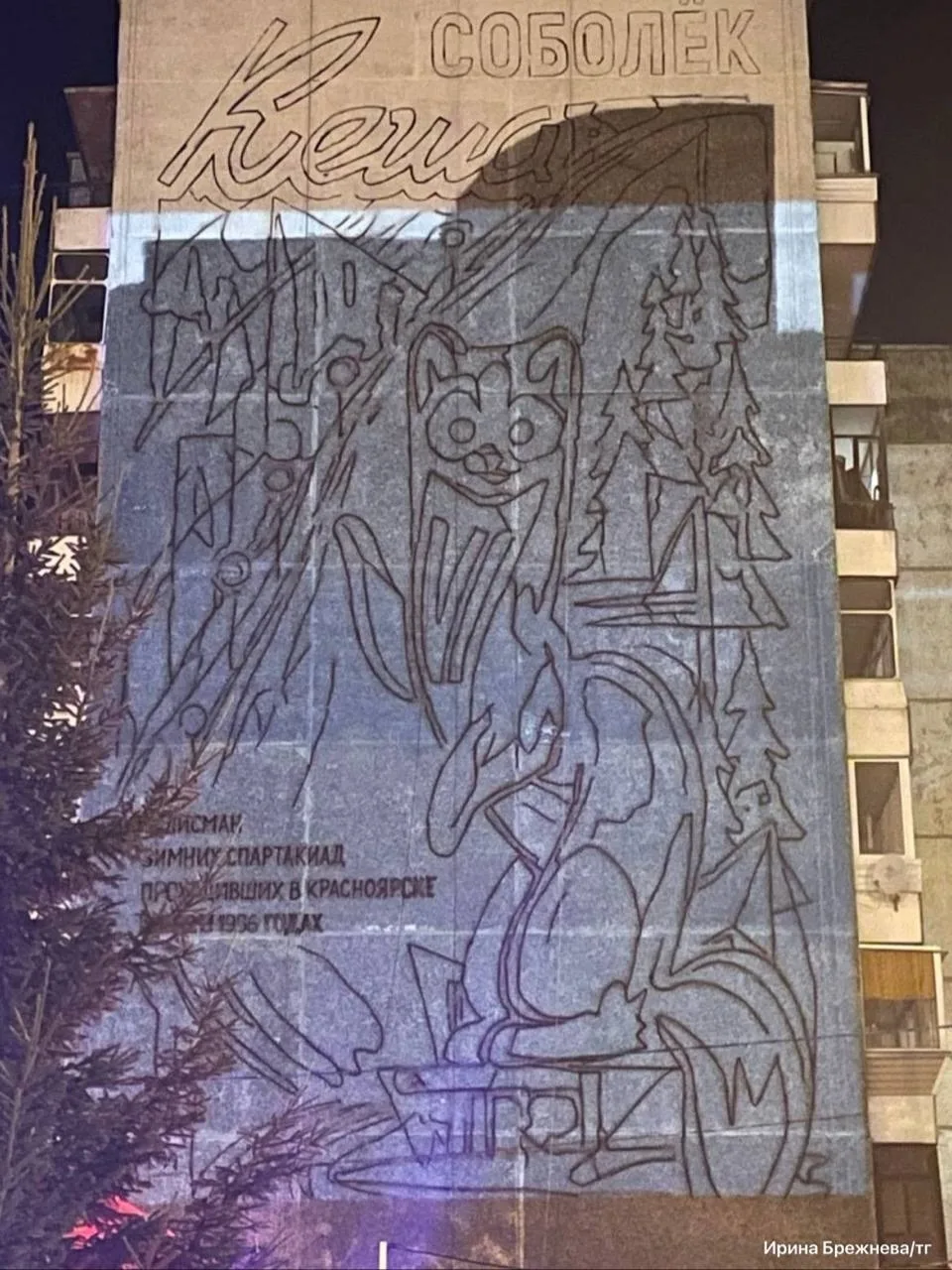 🎨Соболёк Кеша появится на новом мурале в Красноярске