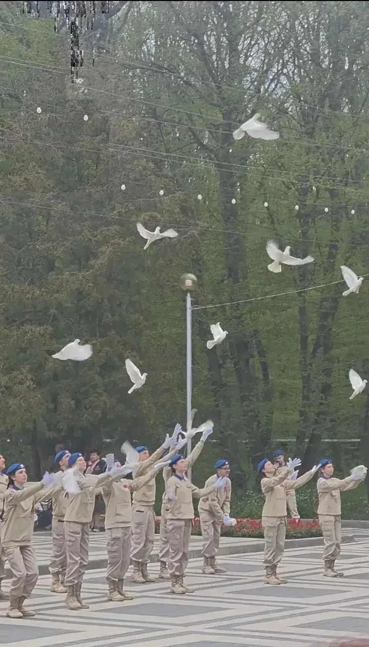Сегодня, 6 мая 2026 г., на "Аллее Славы" в парке Победы в Ставрополе прошло торжественное открытие  