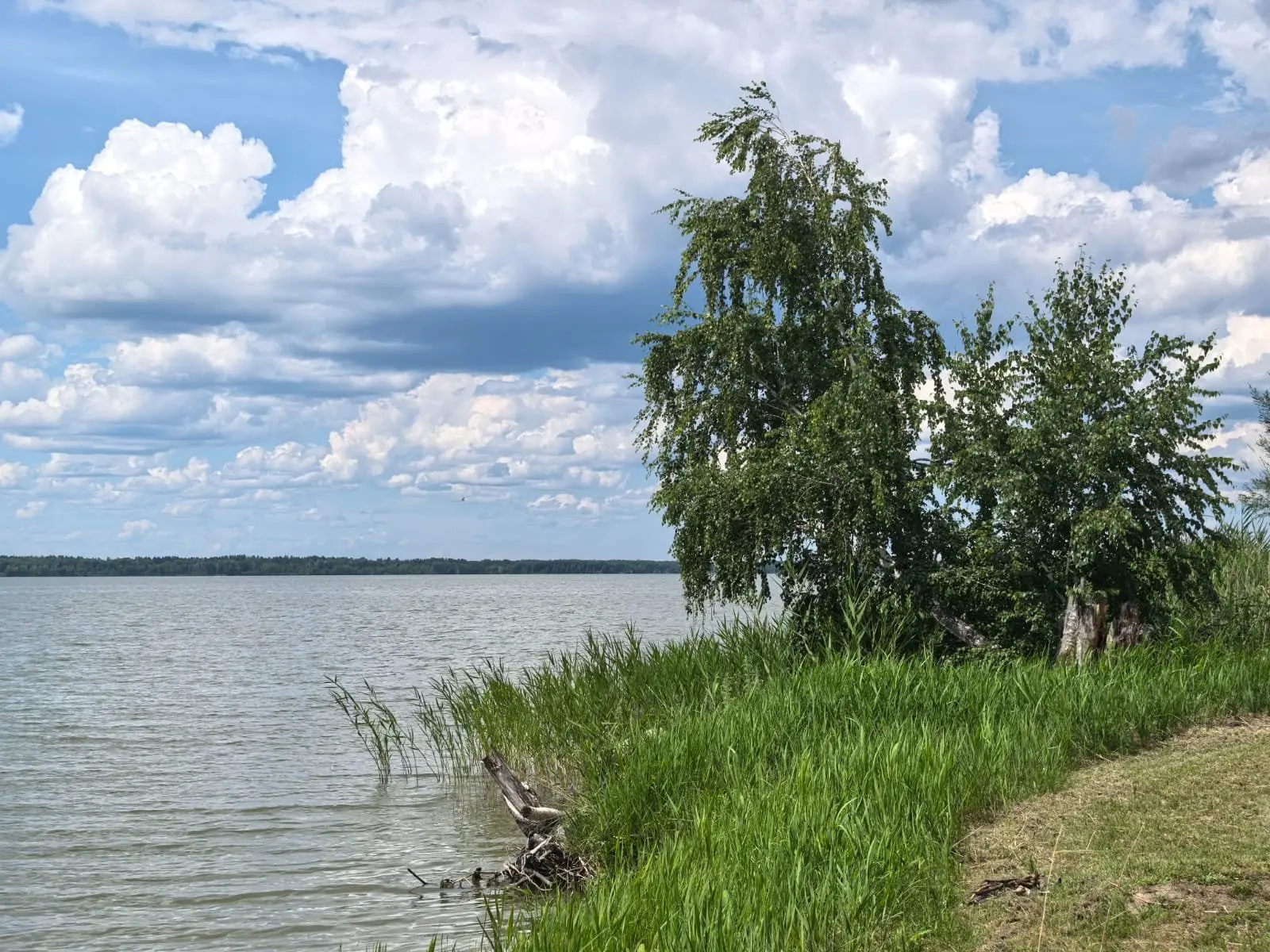 🔥 Жара до +34°C! Прогноз погоды на три дня: пятницу и выходные

В Алтайском крае и Рубцовске на бли