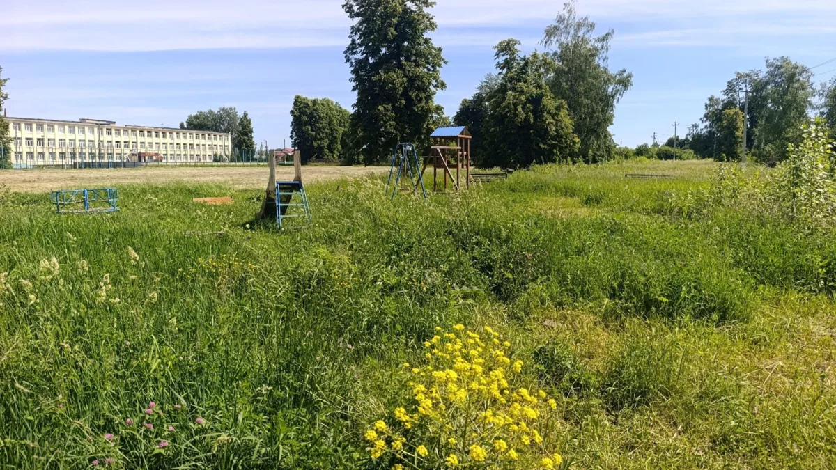 Детская площадка в Змиевке зарастает бурьяном

Местные жители в социальных сетях пытаются обратить в