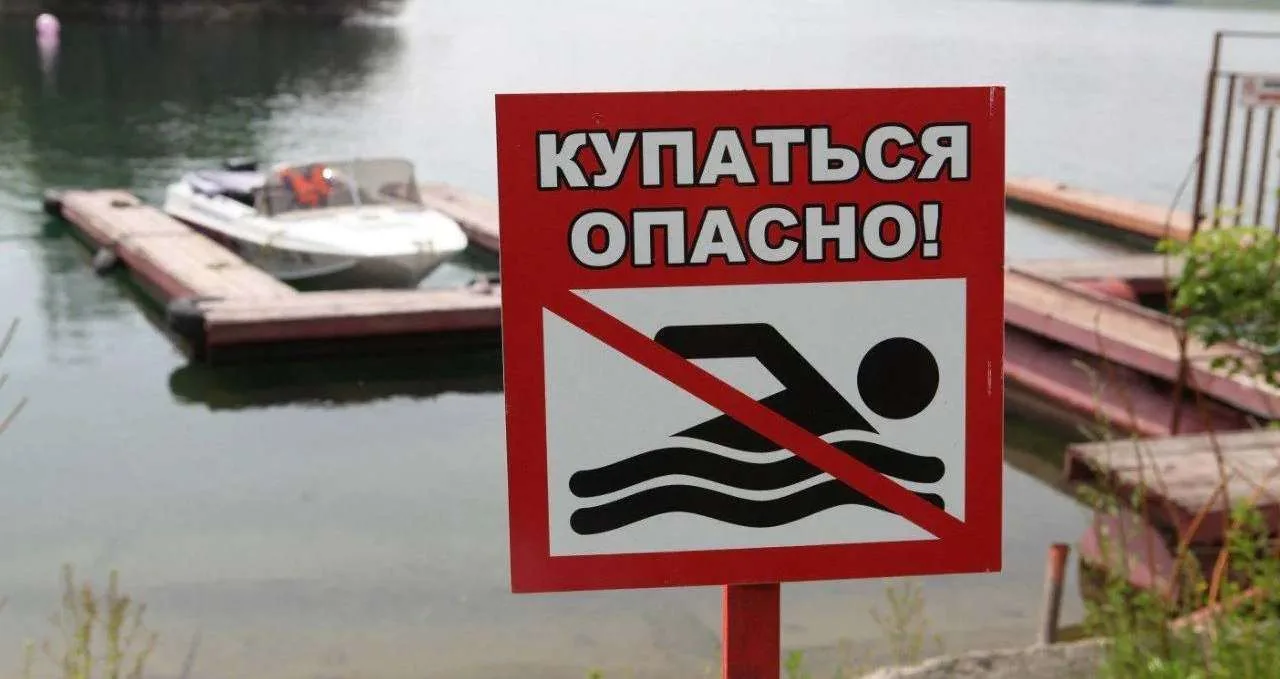 🏊 🚫 В водоемах Иркутска нашли опасные бактерии: купаться и пить воду нельзя