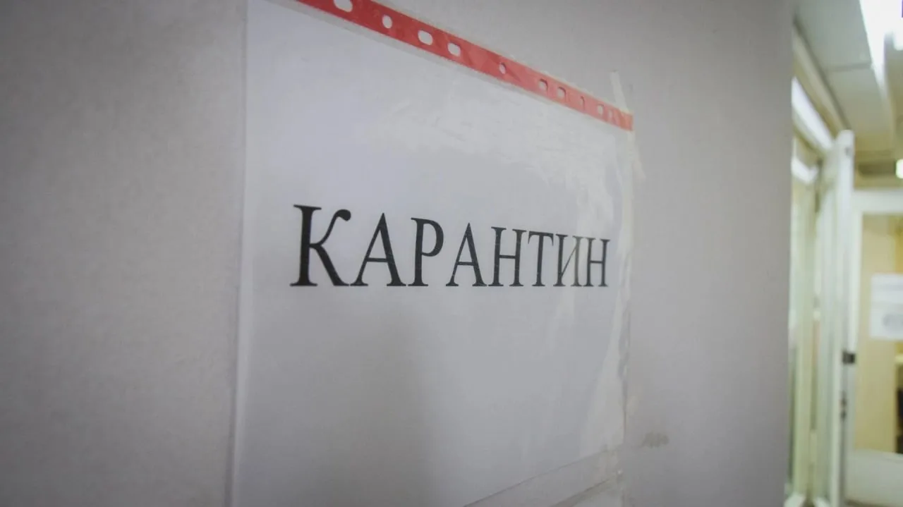 В Башкирии вводят карантины по гриппу и ОРВИ