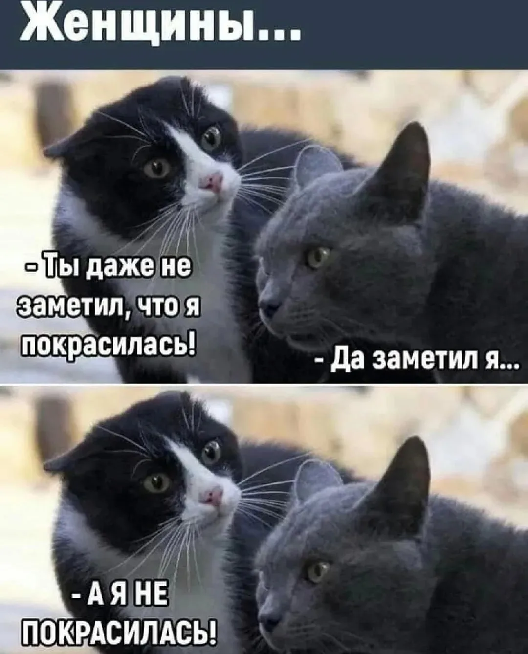 Понравилось? 
Поделитесь с друзьями!🤗