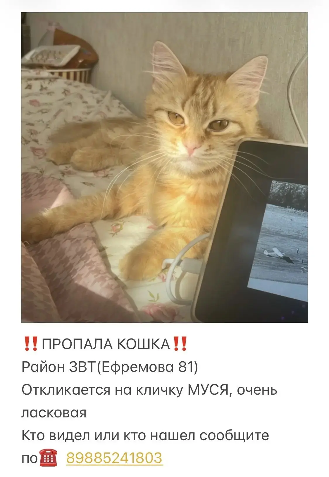 ---