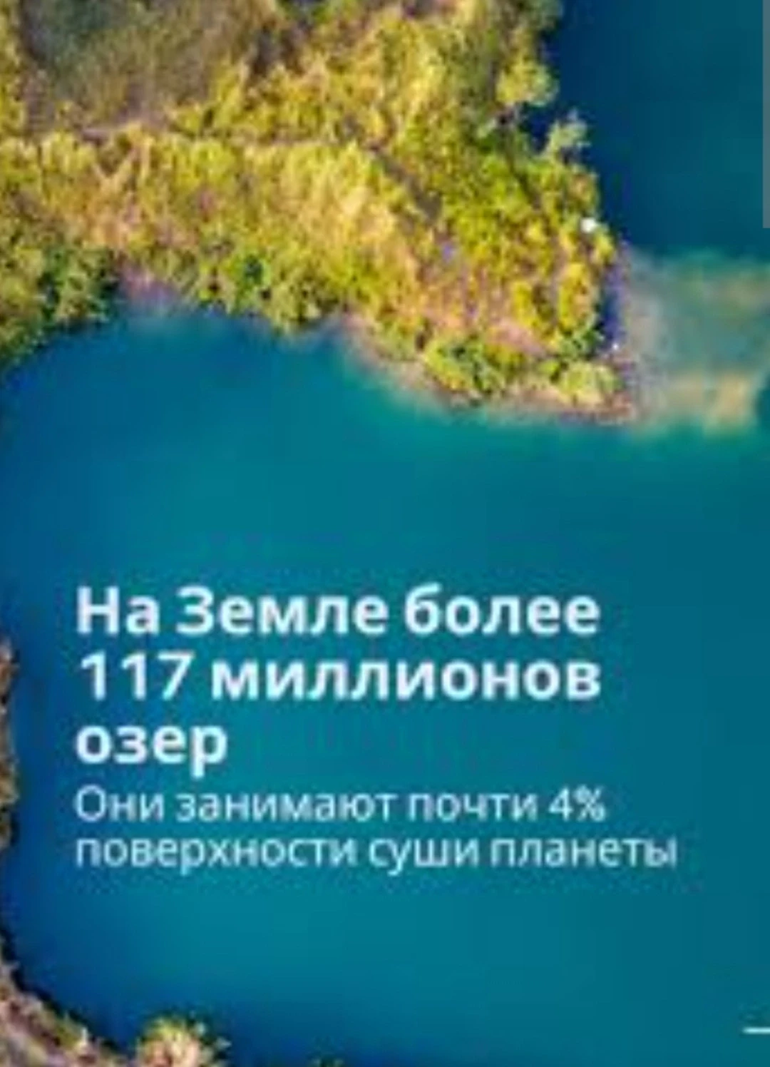 🌊🦩Сегодня в экологическом календаре особая дата — Международный день озёр.