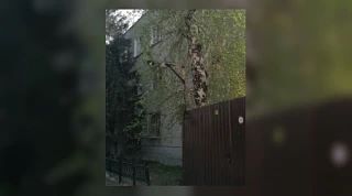 💼 Вакантная должность: