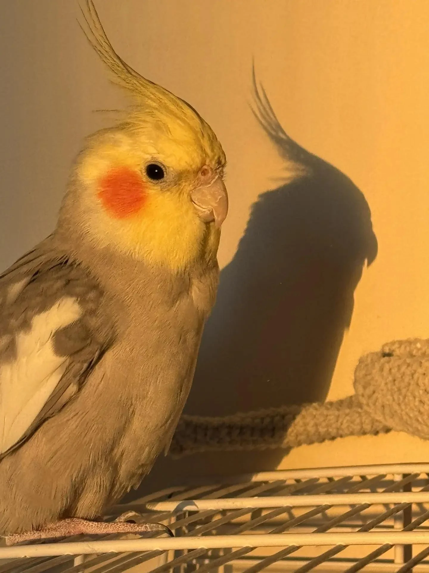 Фотомодель от Марич ❤️