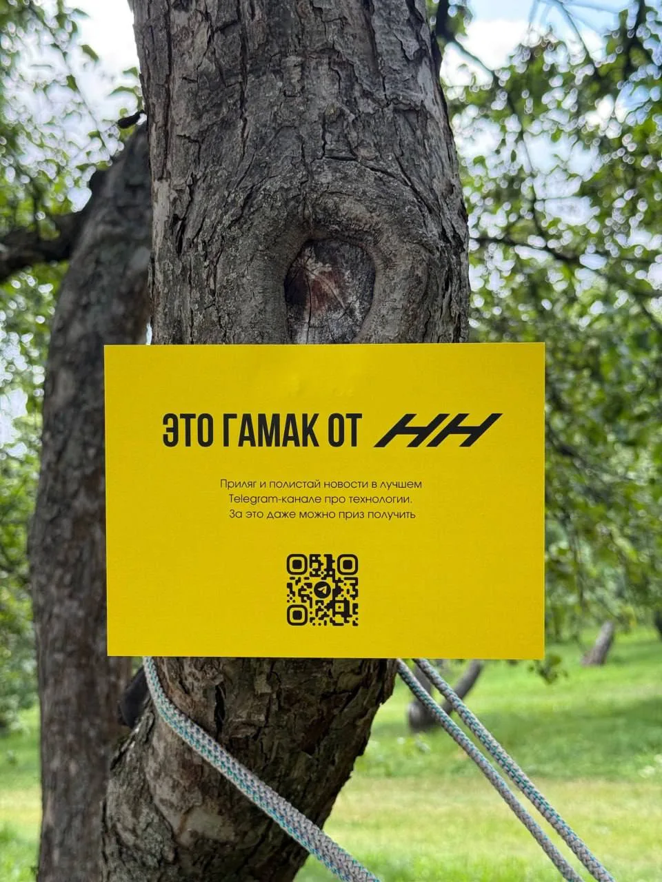 #Новостимаркетинга 📣