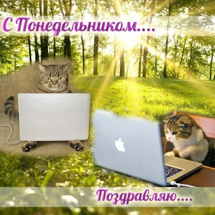 Короткая неделя, всего 4 рабочих дня, держимся!! 🙏🏻