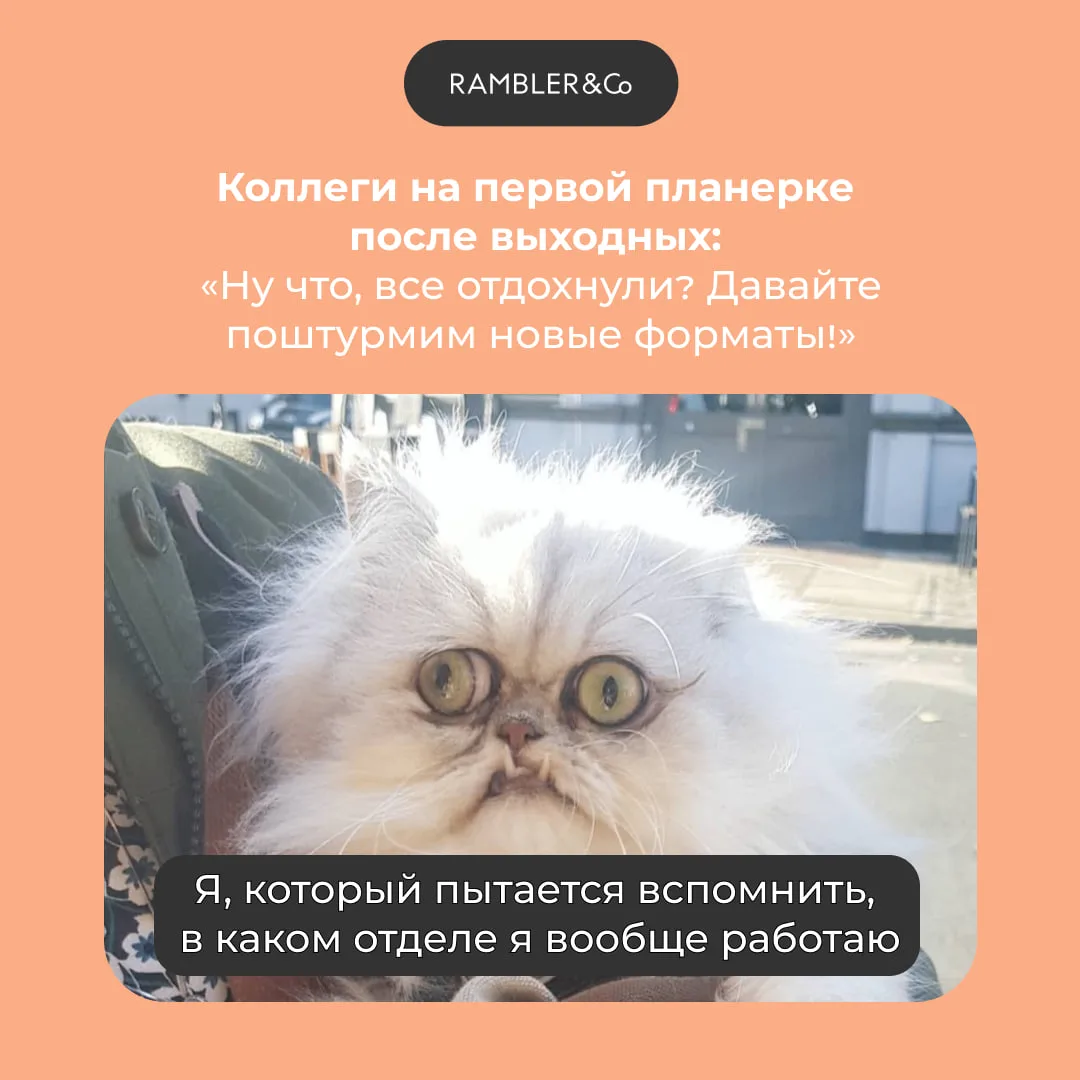 Каждый понедельник появляется один вопрос.