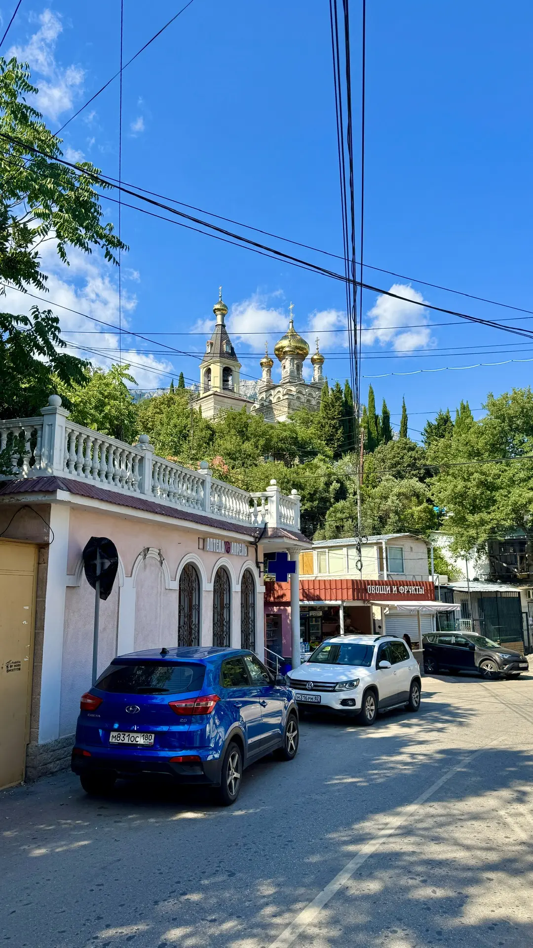 Атмосфера прекрасной Алупки в августе 🌳😍