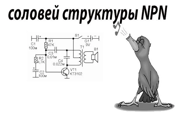 Супер соловей🐦‍⬛