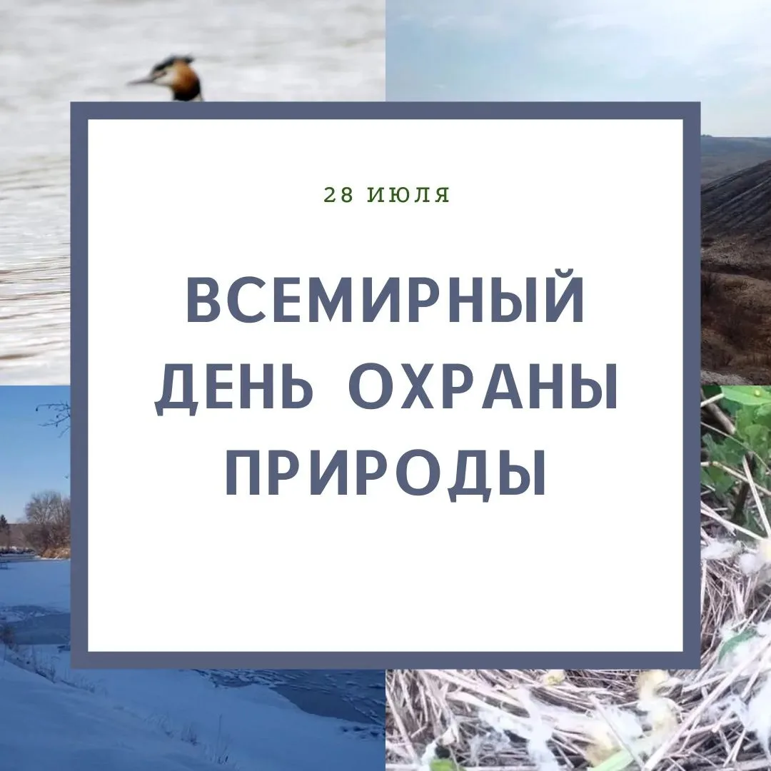 Природа — наш общий дом 🌍🌿Сегодня, 28 июля, мы отмечаем Всемирный день охраны природы. Это не прос