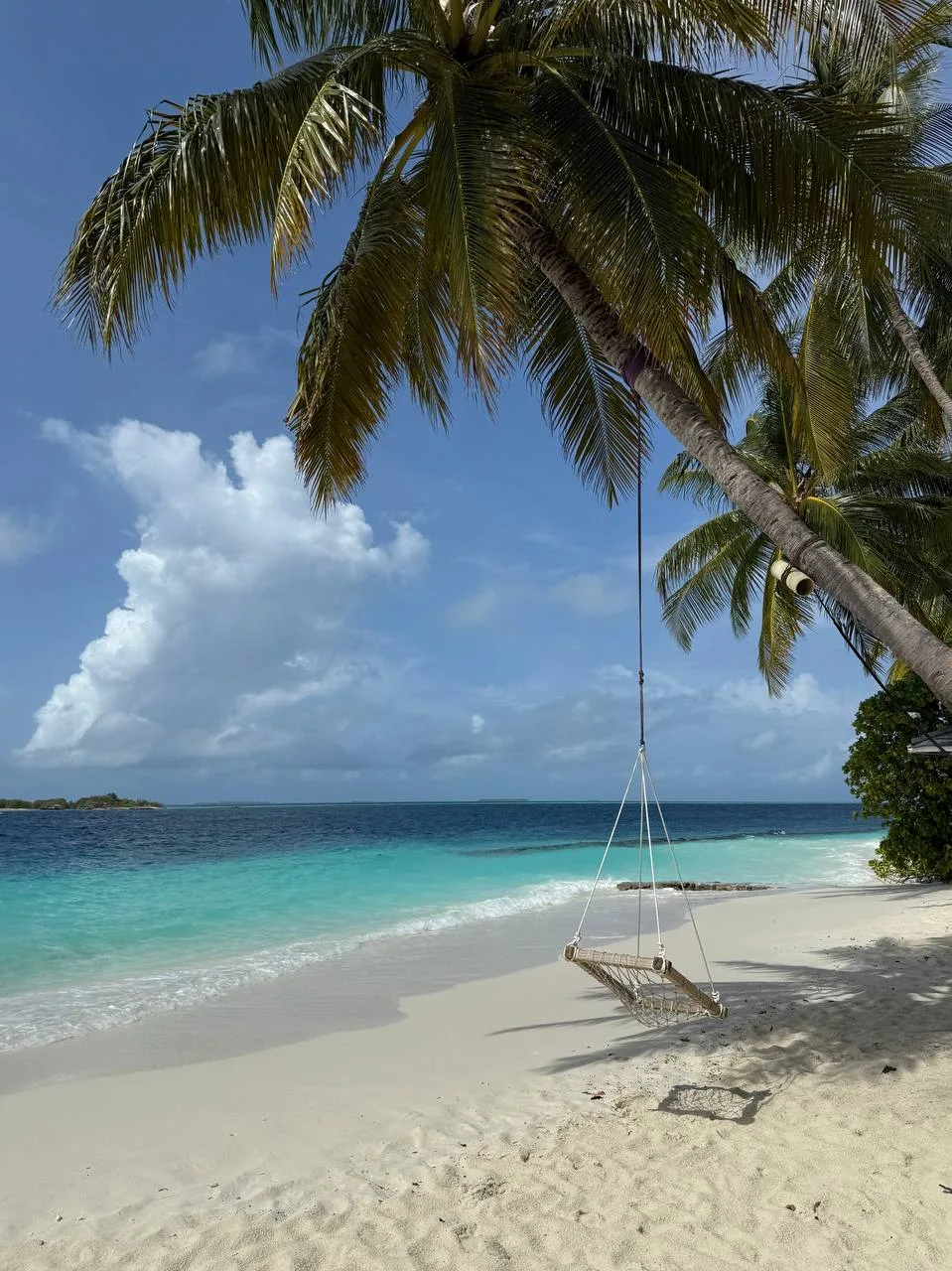 🛩️ Мальдивы из Москвы

🏠 KUE HOTELS MAAFUSHI 3⭐️
✈️ Москва ➡️ Мальдивы, Мальдивы
📅 26 июн, 🌙 7нч