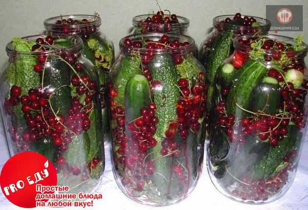 Маринованные огурцы в банке с красной смородиной