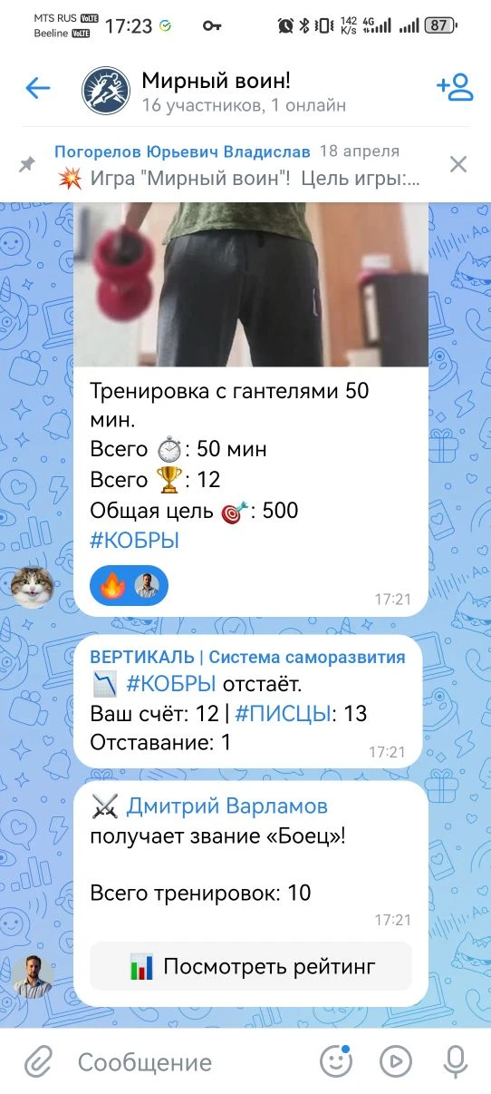 Месяц назад запустил внутренний проект в системе Вертикаль - "Мирный воин".

Это чат тренировок. Для