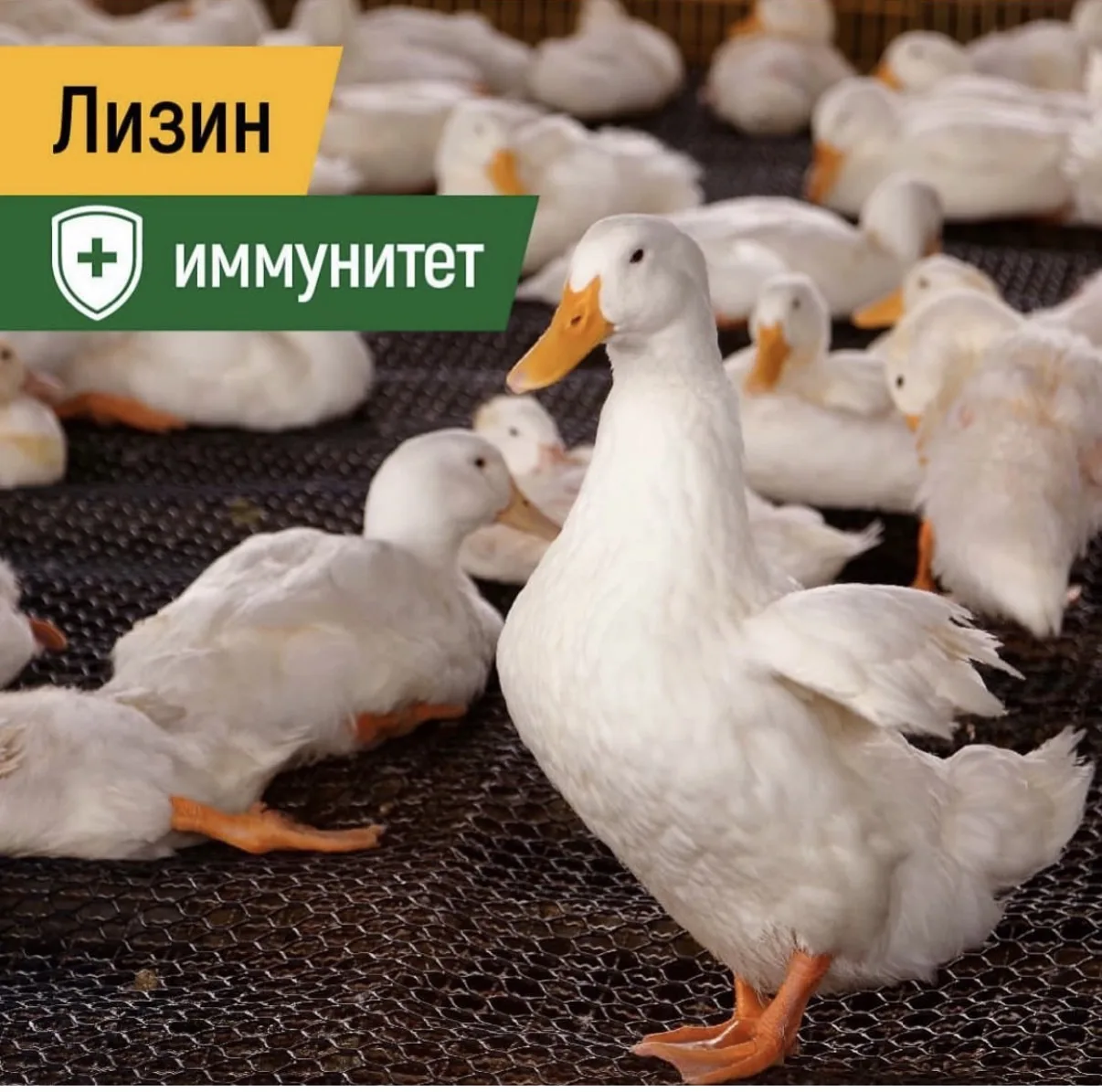 ⚡️Продолжаем нашу рубрику: