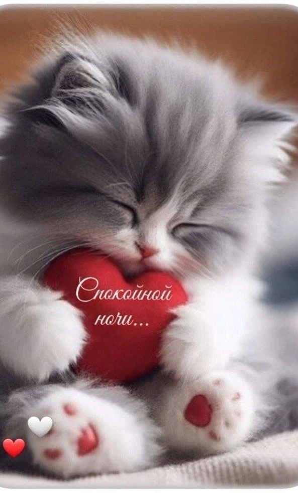 🥰Ставьте реакции и делитесь открыткой с близкими ❤️