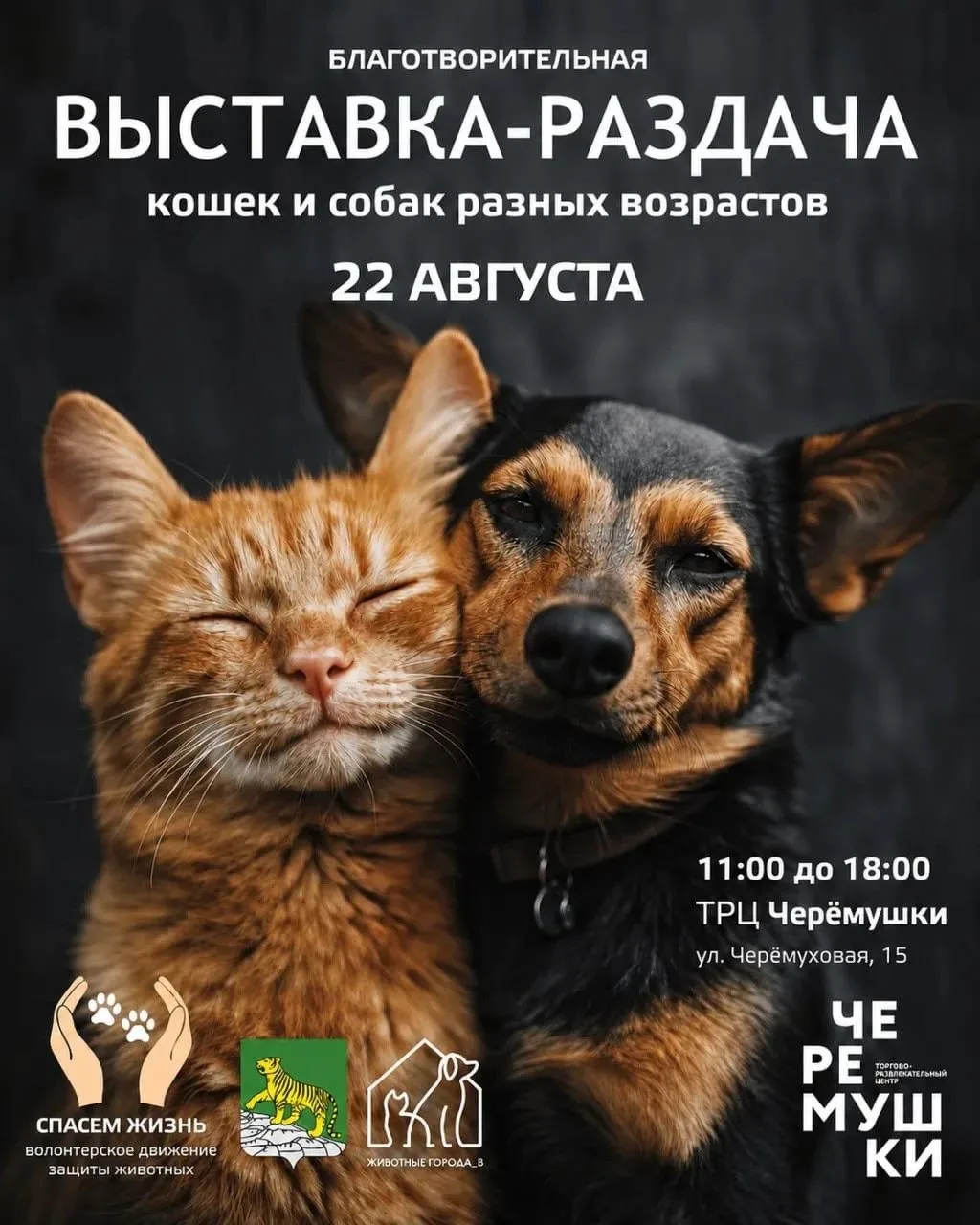 ✅Благотворительная выставка-раздача животных пройдет во Владивостоке.
