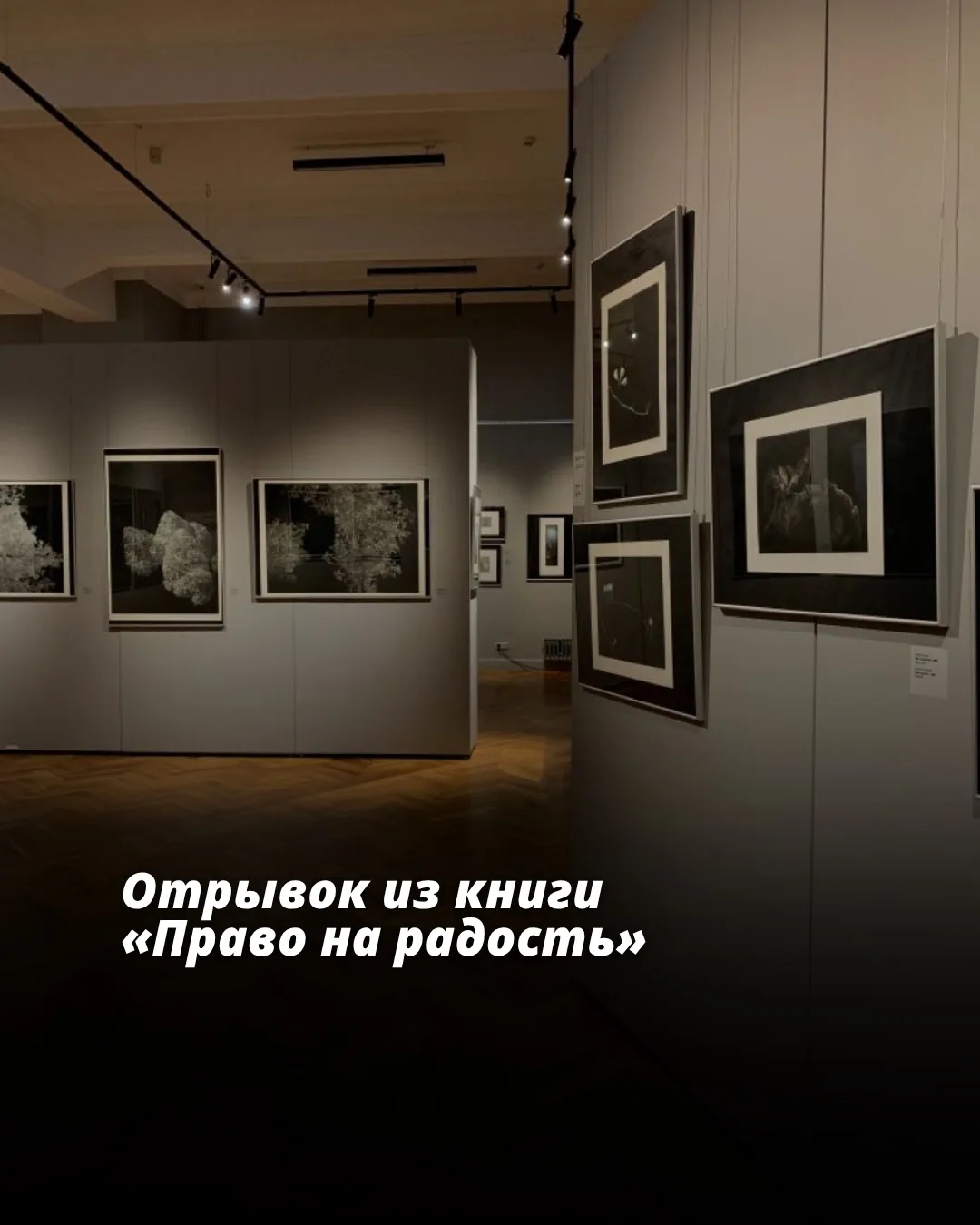 Я не большой поклонник изобразительного искусства — так уж получилось, что место, котор...