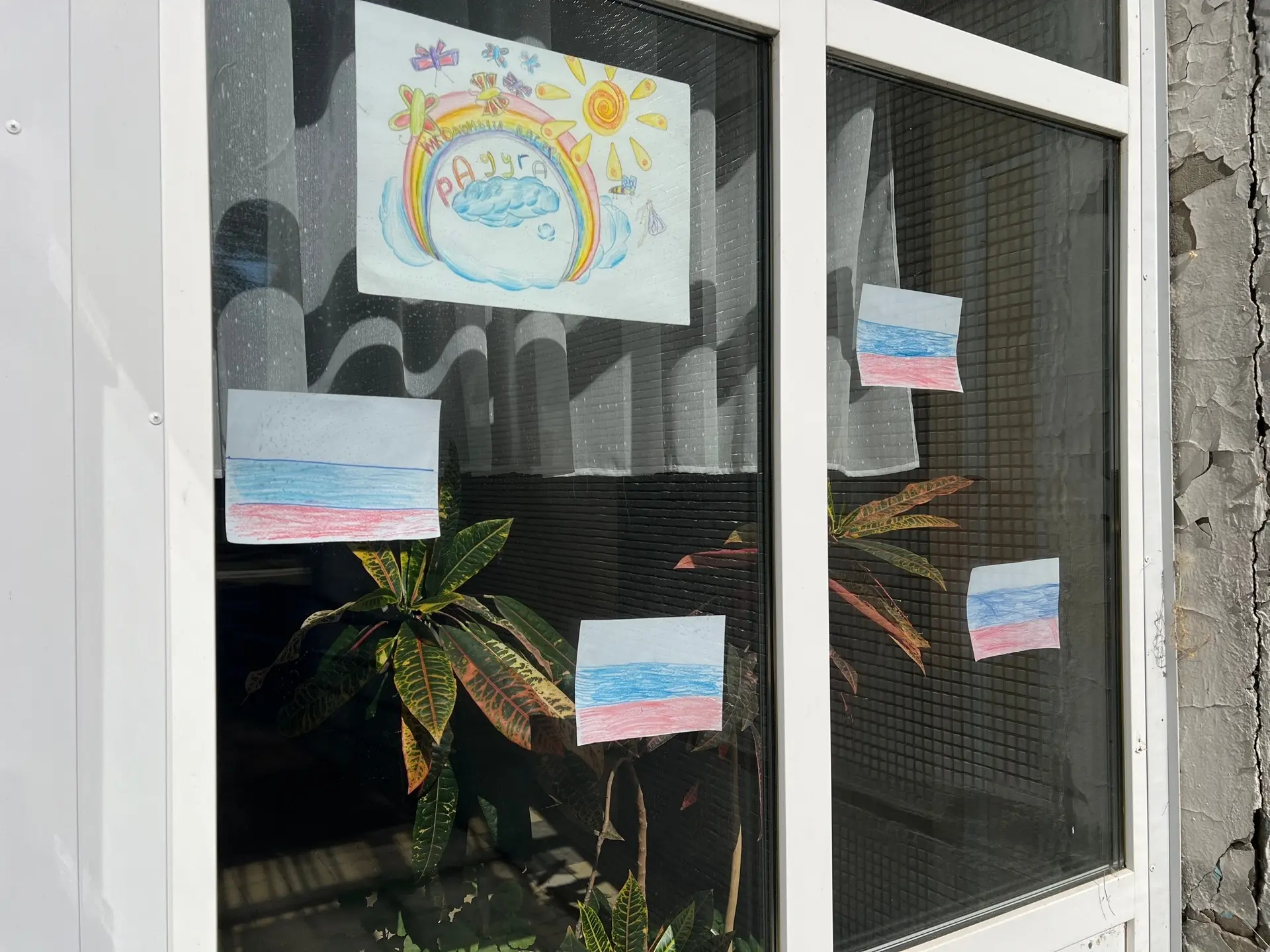 🎨 В лагере дневного пребывания «Радуга» прошла патриотическая акция «Окна России»

Наши ребята с ог