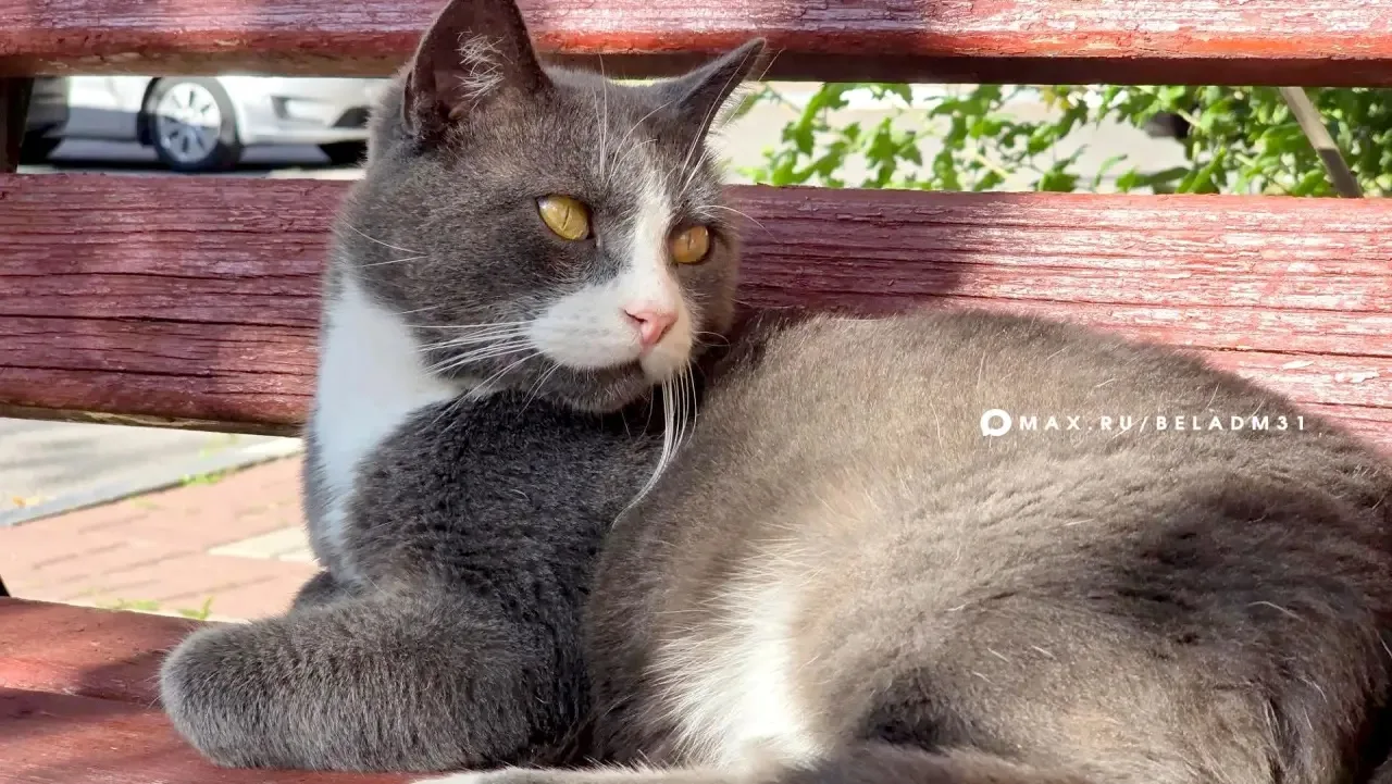 ☀️ С добрым утром!