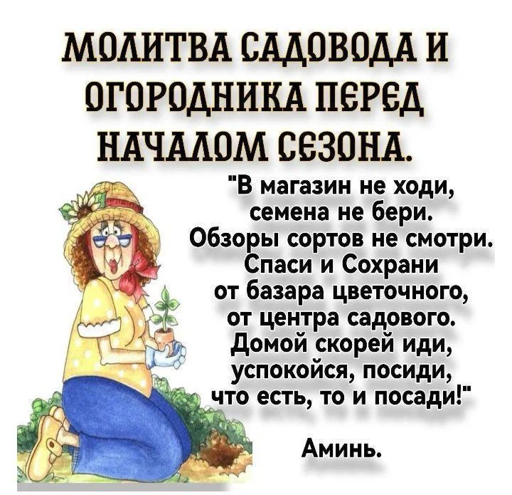 🤣🤣🤣