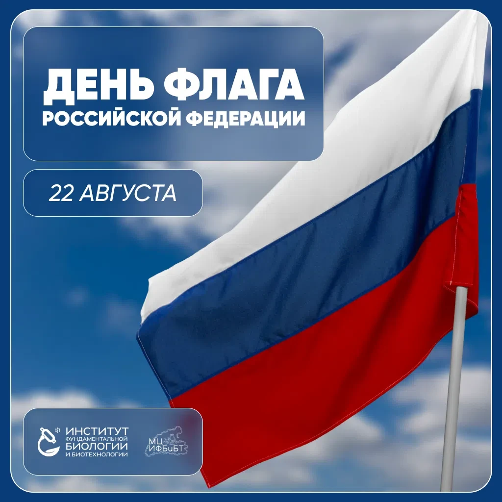 Белый, синий, красный — цвета, которые нас объединяют 🇷🇺