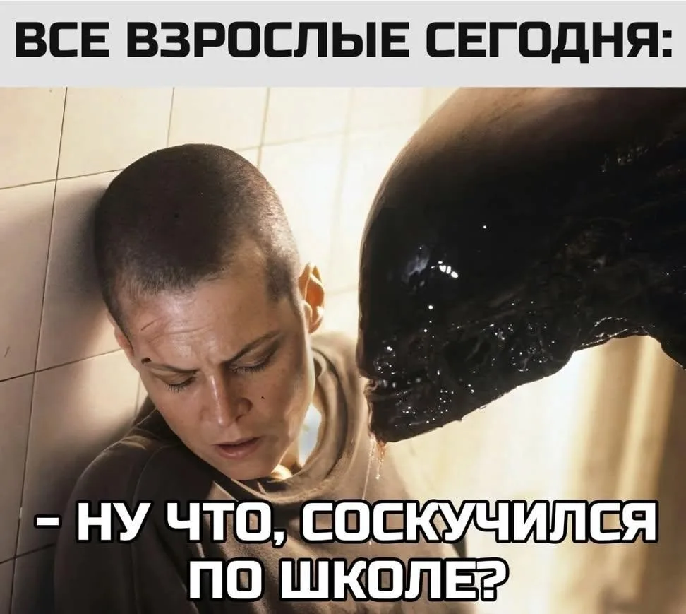 Источник: https://vk.com/darom_barnaul