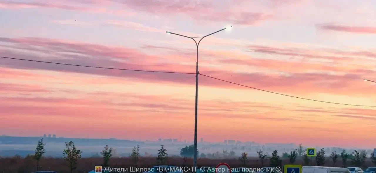 Когда утро прекрасно 🥰