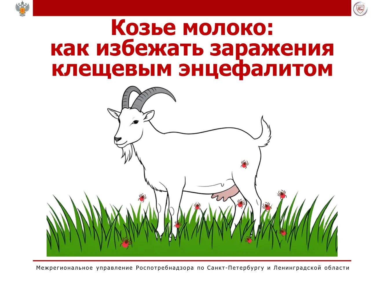🐐 Козье молоко – настоящий кладезь пользы для растущего организма малыша! Оно легко ус...