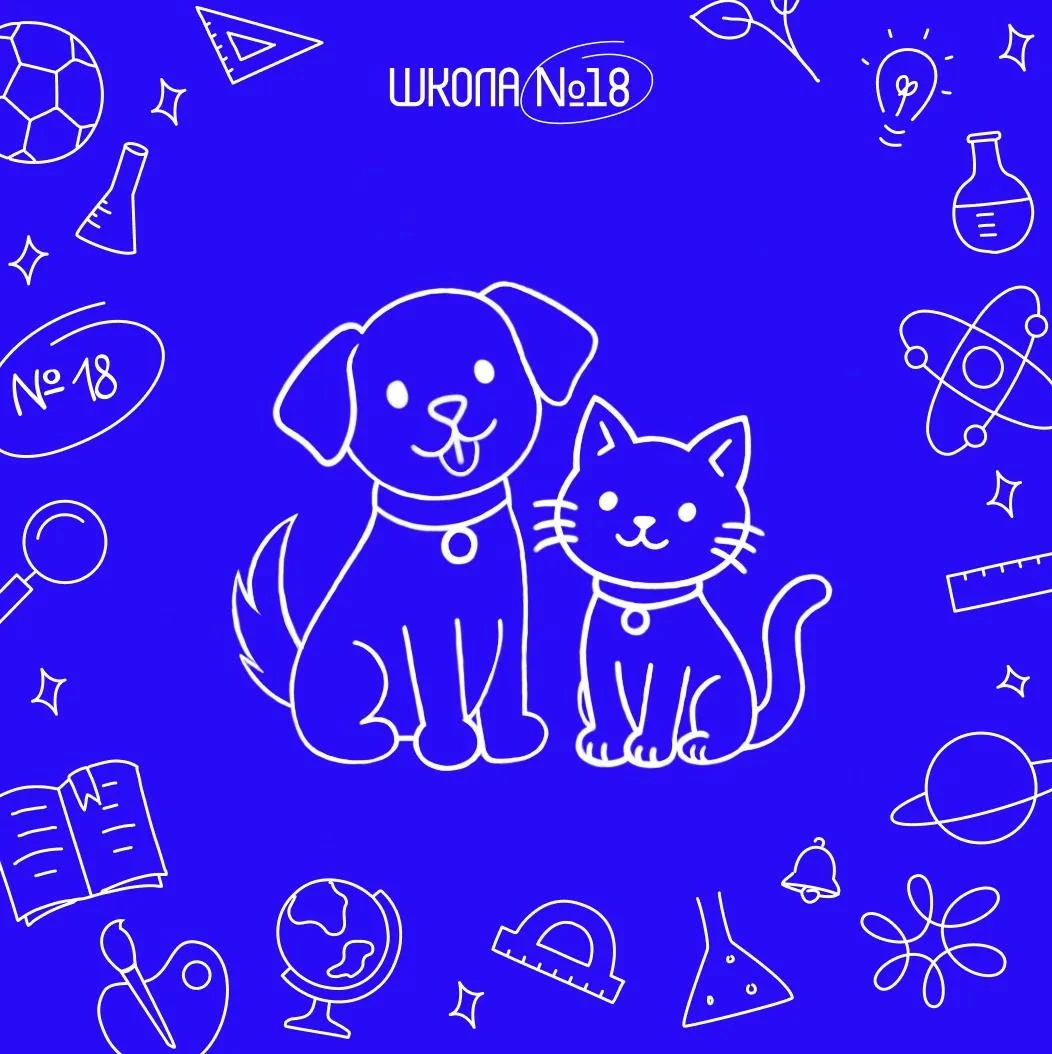 🐾 Акция «Лапки, которые ждут любви»