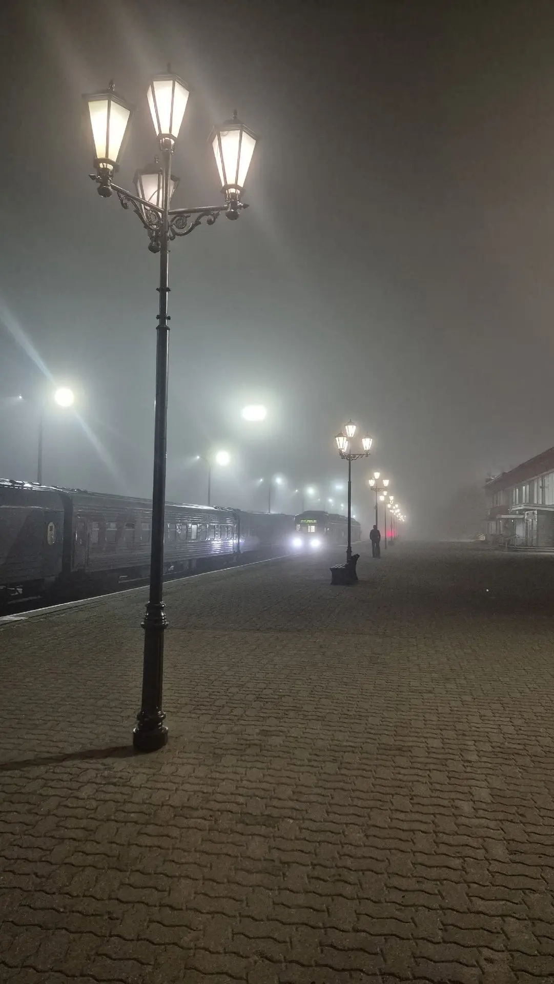 Когда туман превращает вечер в кино 🌫️❤️