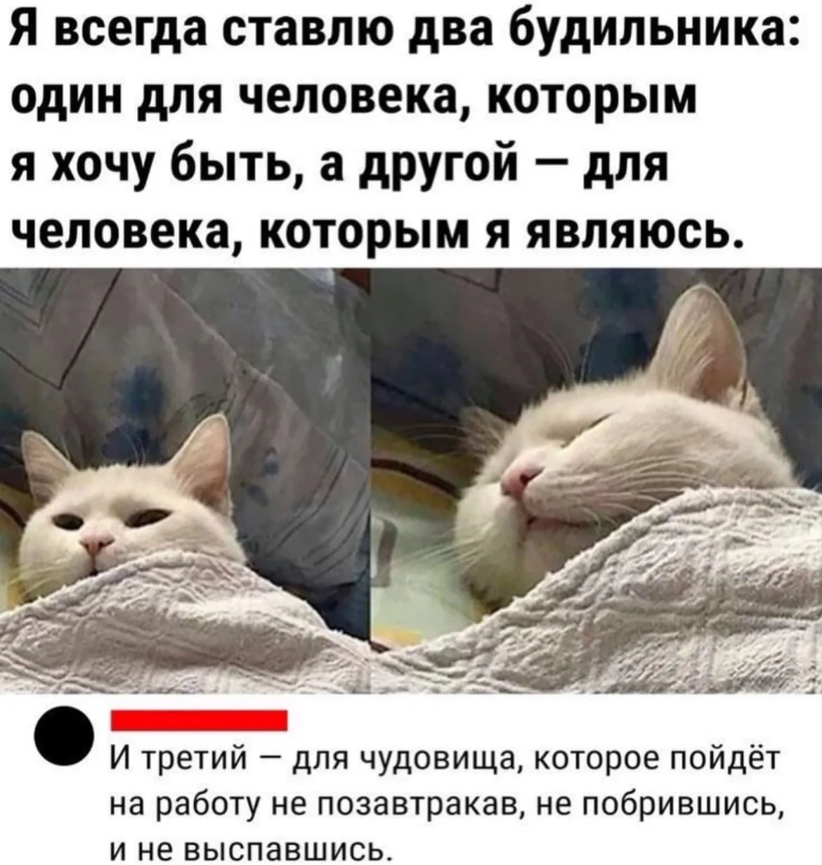 Дурилка картонная