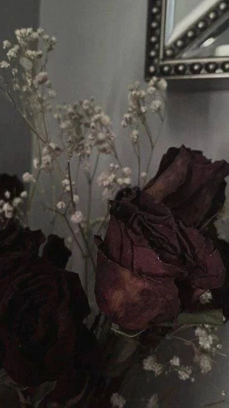 @oboi_wallpaper_kpop