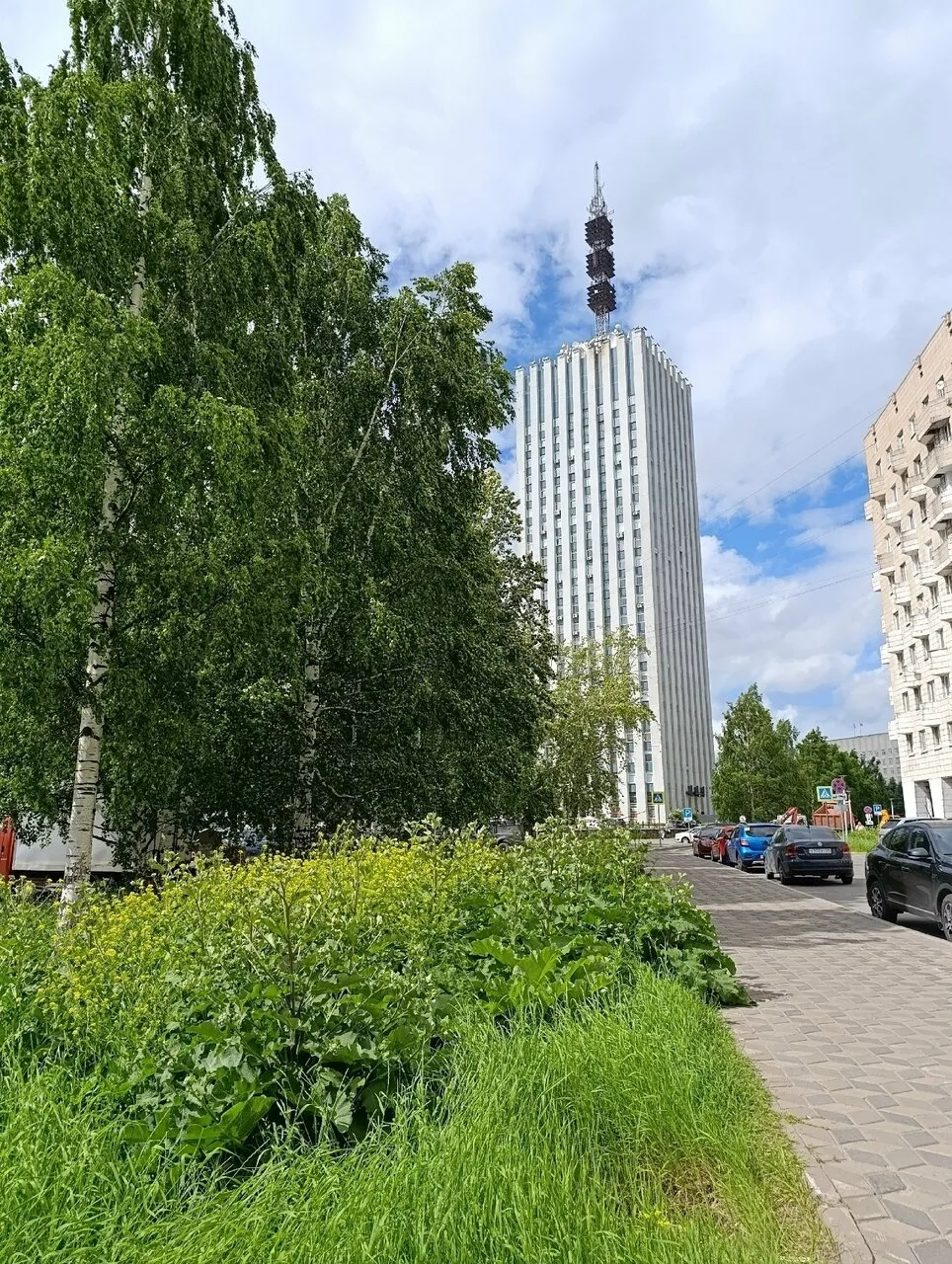 У здания мэрии. С парадного входа — всё чинно, благородно. Цветочки, газончики, красота...