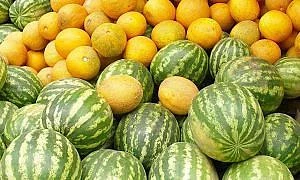 🍉 Более 820 тонн бахчевых прошли фитосанитарный контроль в Томской области 🍉