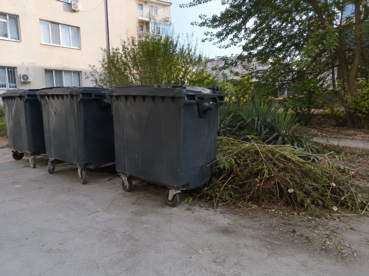 Ветки и траву запретили выбрасывать в мусорные контейнеры