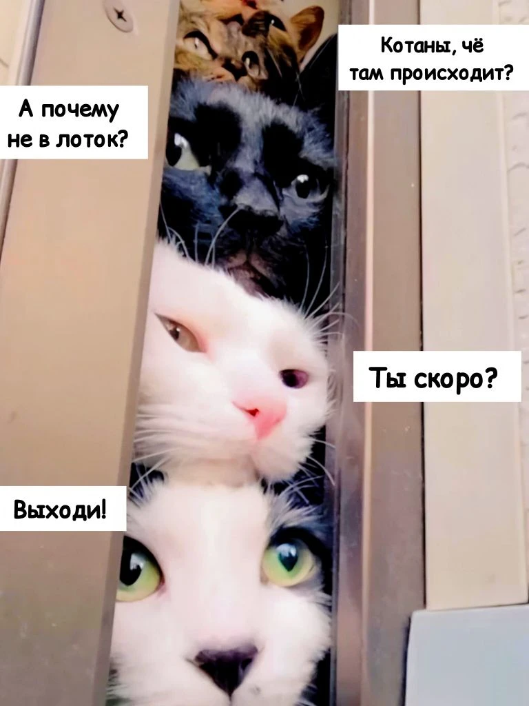 Отличного воскресенья☀️